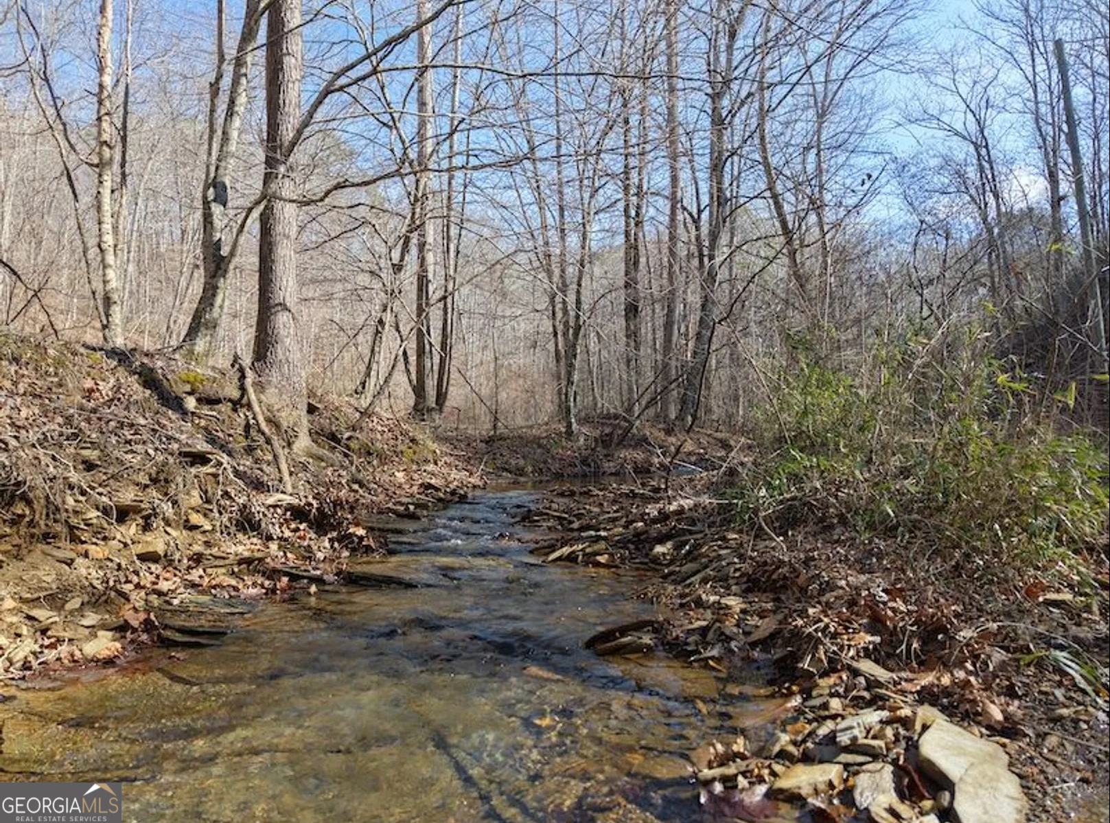 3 Rambling Road Fairmount, GA 30139 - Photo 2 of 17 a view of a yard with lots of bushes