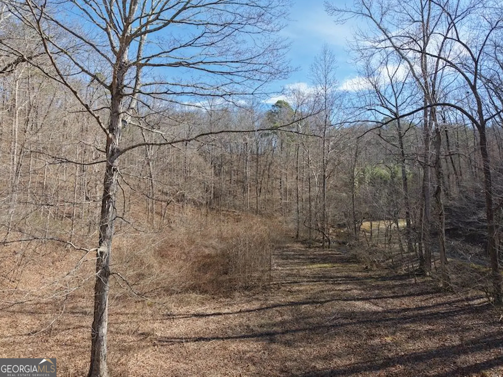 3 Rambling Road Fairmount, GA 30139 - Photo 3 of 17 a bathroom with a shower