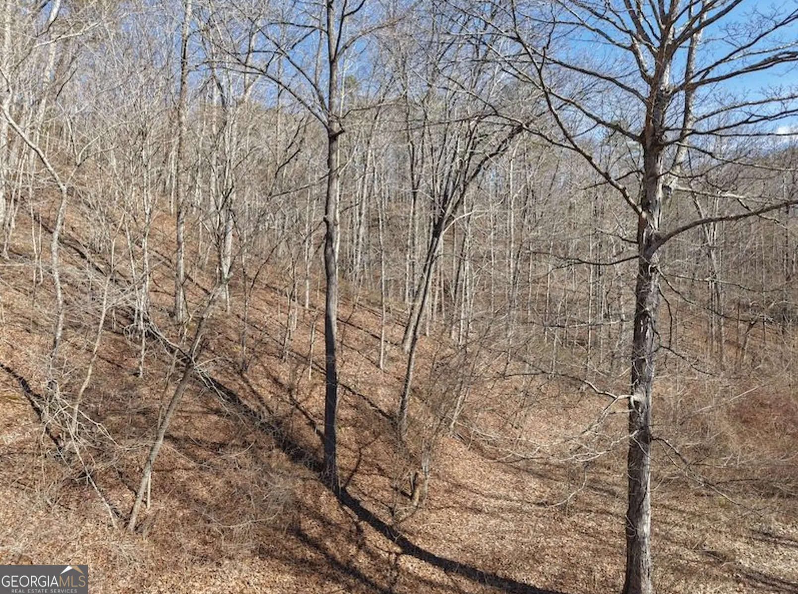 3 Rambling Road Fairmount, GA 30139 - Photo 4 of 17 a backyard of a building