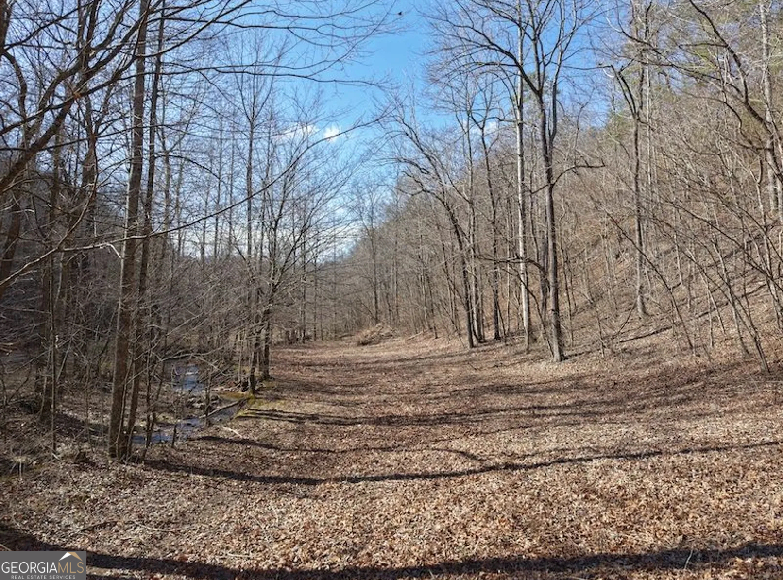 3 Rambling Road Fairmount, GA 30139 - Photo 5 of 17 a view of a yard with wooden fence