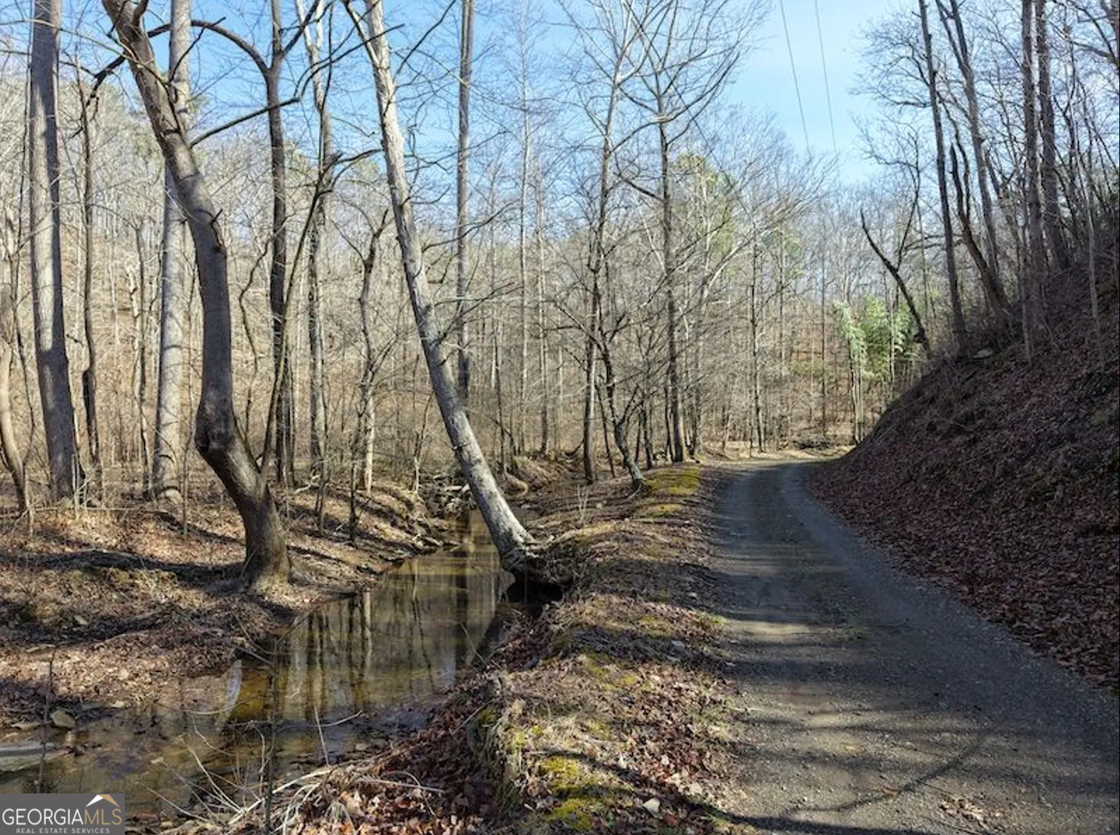 3 Rambling Road Fairmount, GA 30139 - Photo 6 of 17