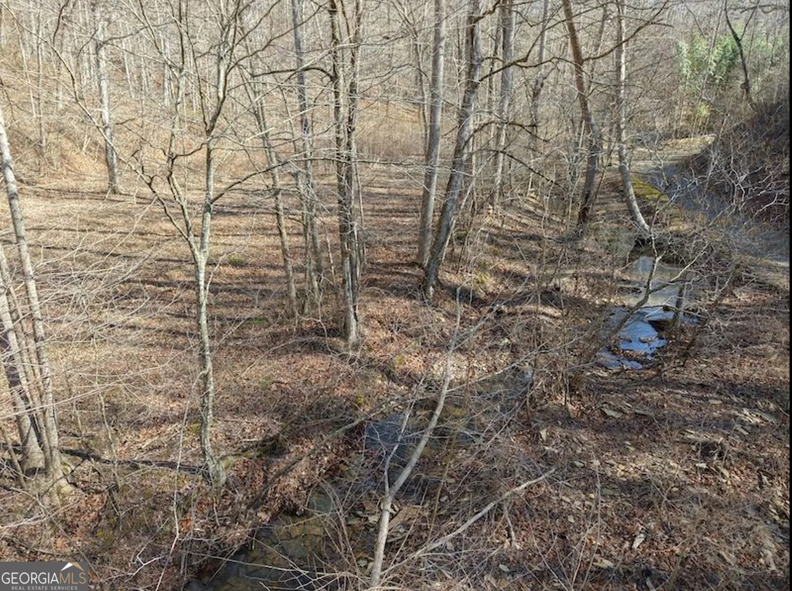 3 Rambling Road Fairmount, GA 30139 - Photo 7 of 17 a bathroom with a shower