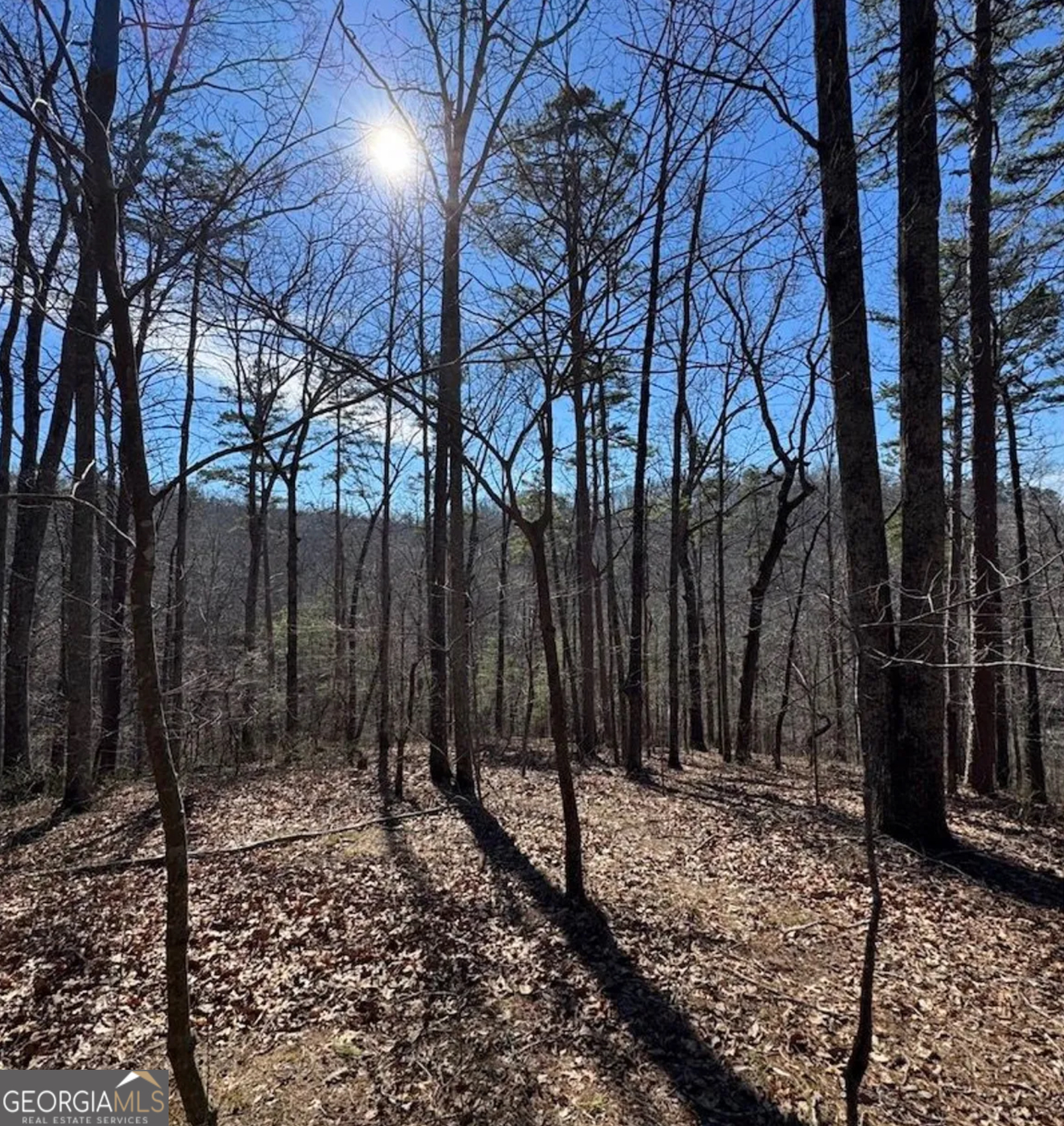 3 Rambling Road Fairmount, GA 30139 - Photo 8 of 17 a view of house with trees in the background