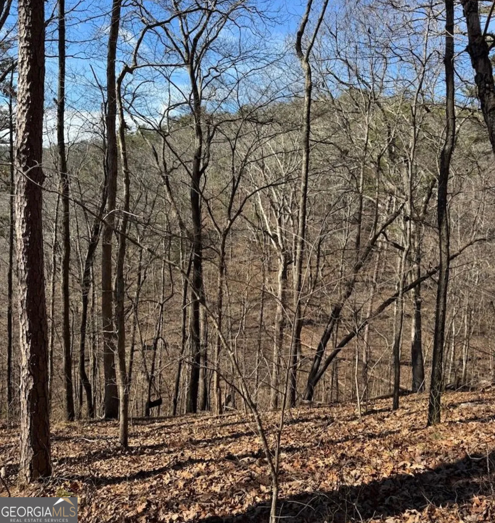 3 Rambling Road Fairmount, GA 30139 - Photo 9 of 17 a backyard of a house with lots of green space