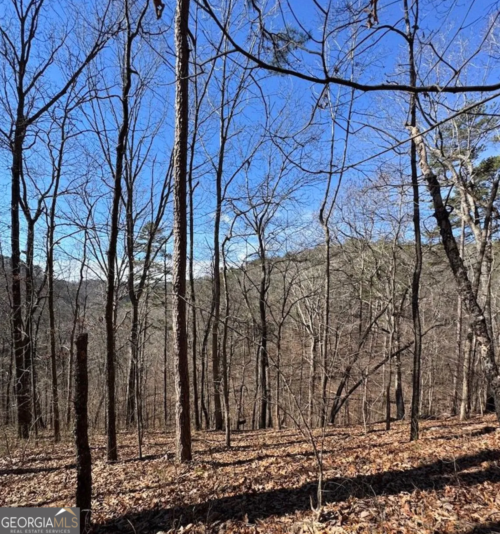 3 Rambling Road Fairmount, GA 30139 - Photo 10 of 17 a backyard of a house with lots of green space
