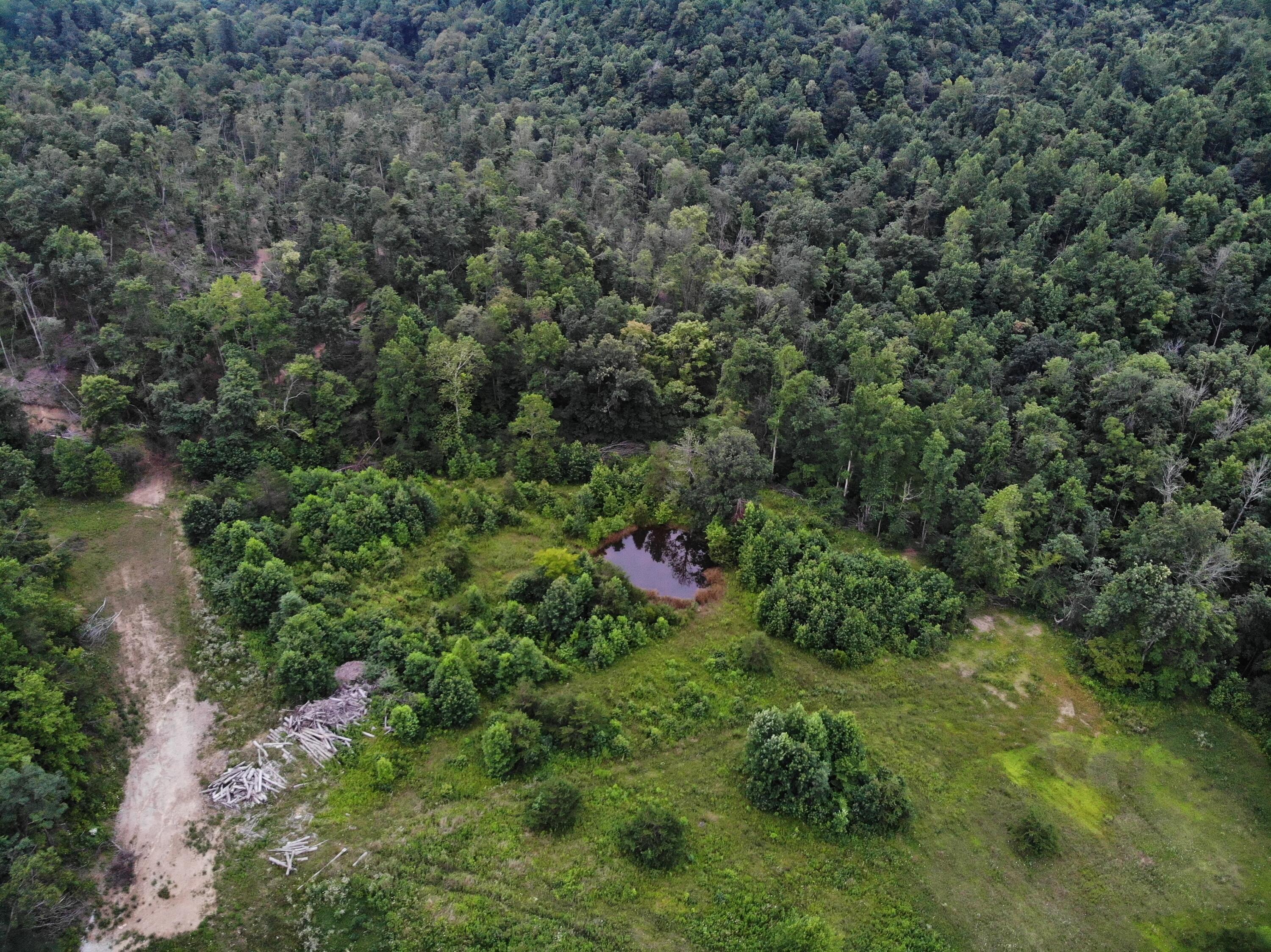 9015 McKee Road Irvine, KY 40336 - Photo 6 of 33 DJI_0001