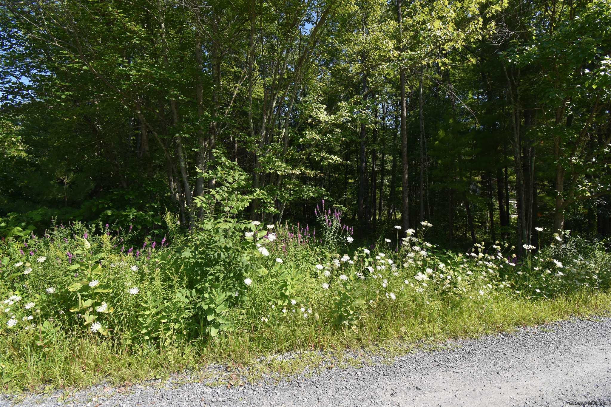 16 Collamer Road Malta, NY 12020 - Photo 6 of 12 Photo 6