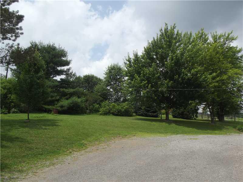 208 Pflugh Road Butler, PA 16001 - Photo 18 of 19 Yard/Garden. Rear yard area.