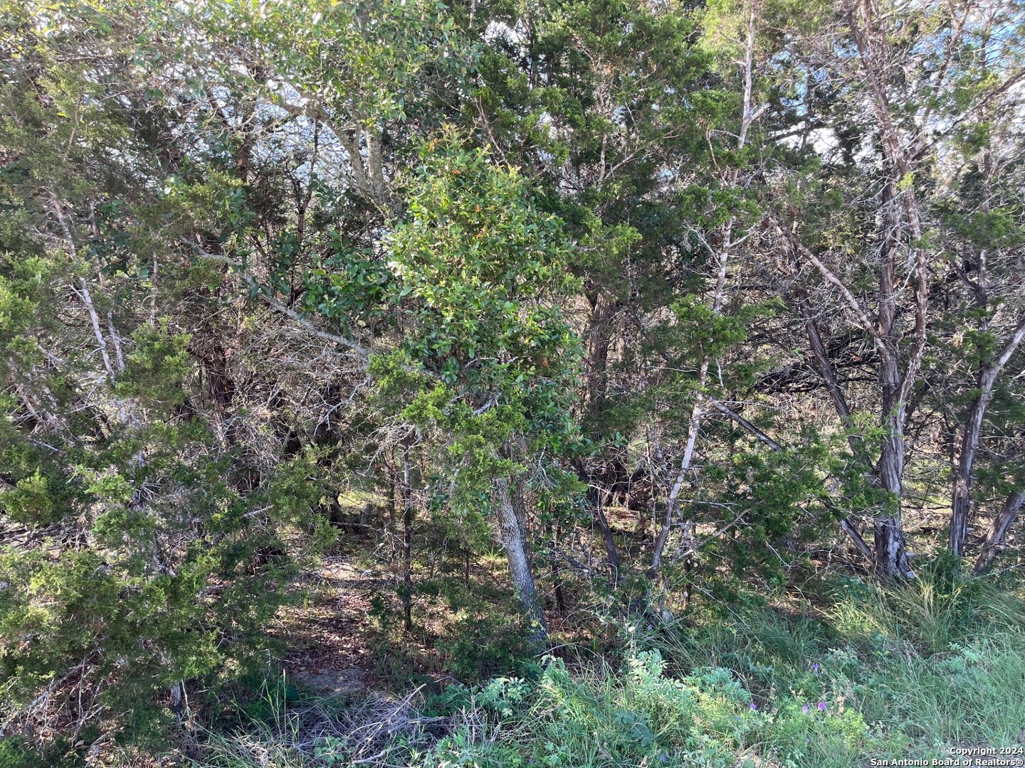 1219 Happy Hollow Drive, New Braunfels, TX 78132 Compass