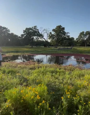 a view of a lake with houses in the back