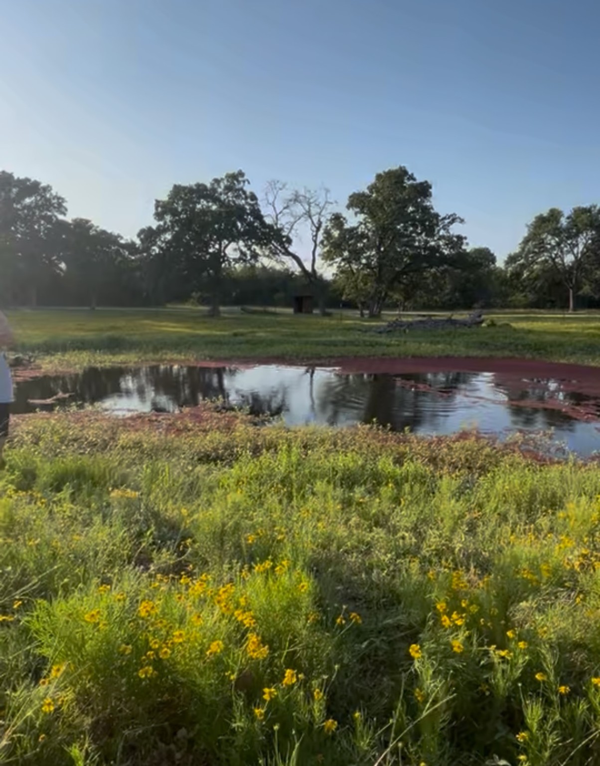a view of a lake with houses in the back