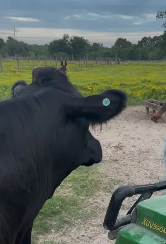 a view of a lake with a yard