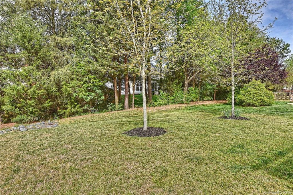 142 Whitley Mills Road Fort Mill, SC 29708 - Photo 21 of 24 a backyard of a house with plants and large trees