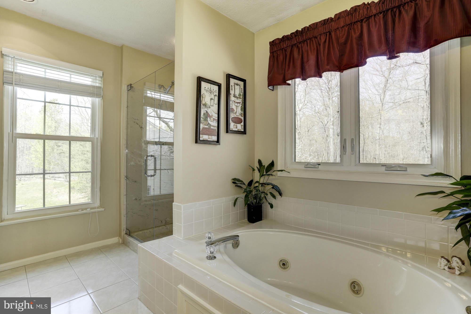8408 Triple Crown Road Bowie, MD 20715 - Photo 20 of 30 Bath (Master)