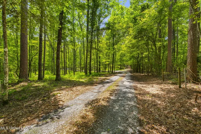 $1,150,000 | 169 Pine Hill Drive, Brandon, MS 39042