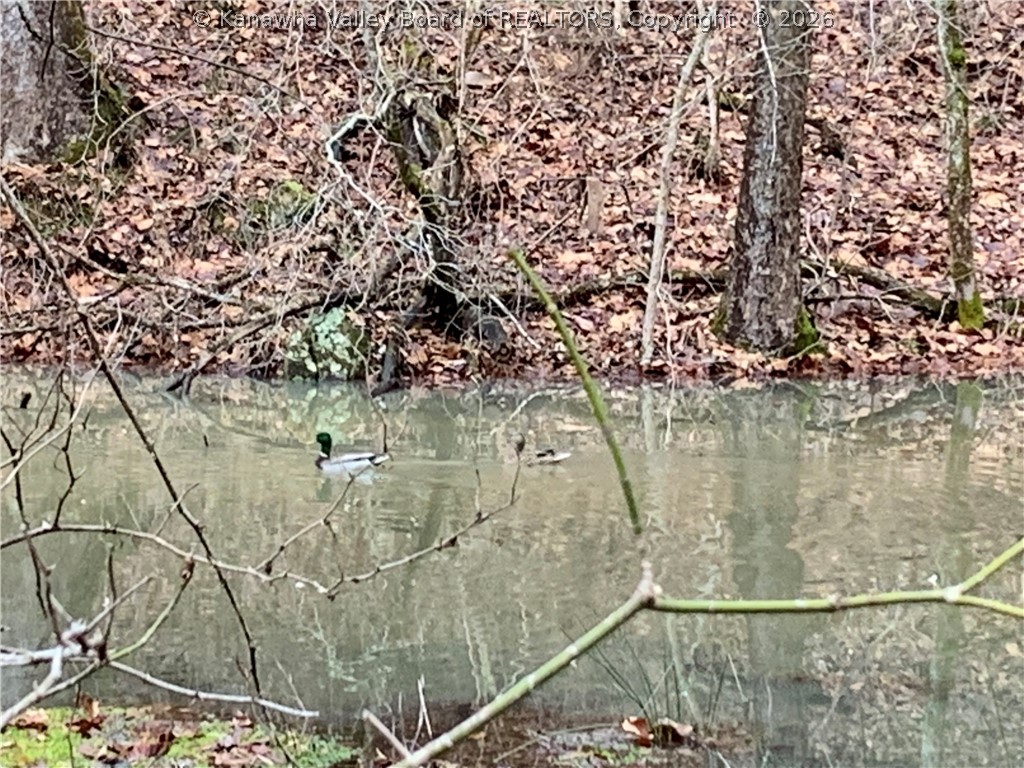 911 Lick Branch Road Poca, WV 25159 - Photo 23 of 24 Gallery Image 23