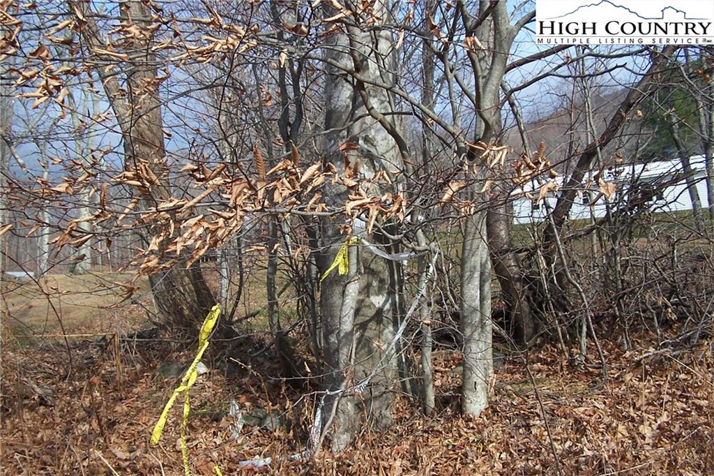 4614 Meat Camp Road Todd, NC 28684 - Photo 7 of 23 Gallery Image 7