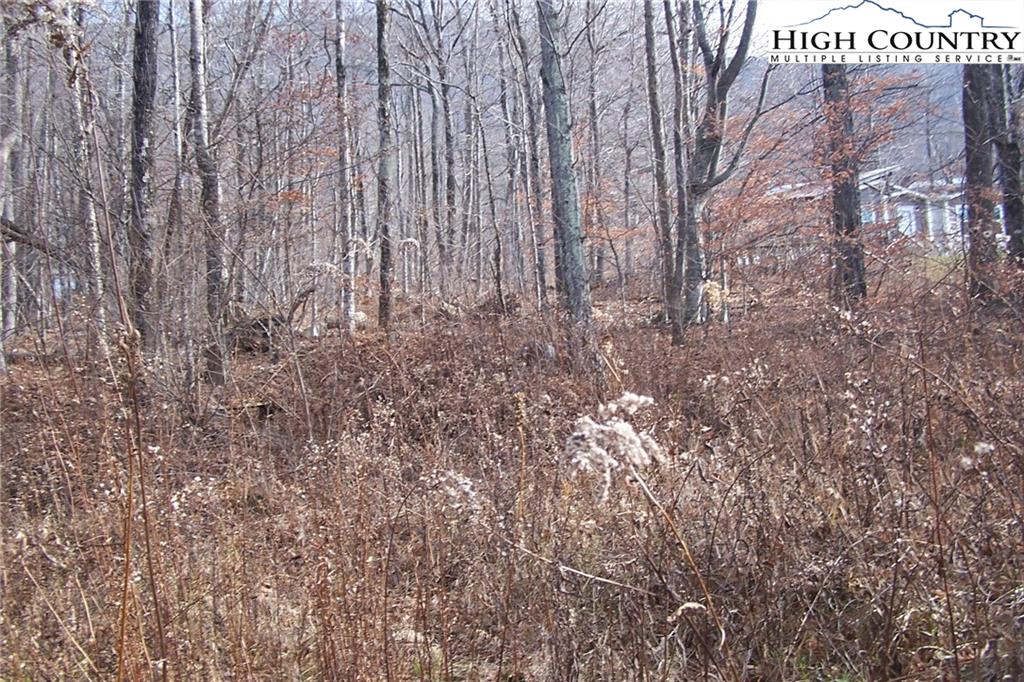 4614 Meat Camp Road Todd, NC 28684 - Photo 8 of 23 Gallery Image 8