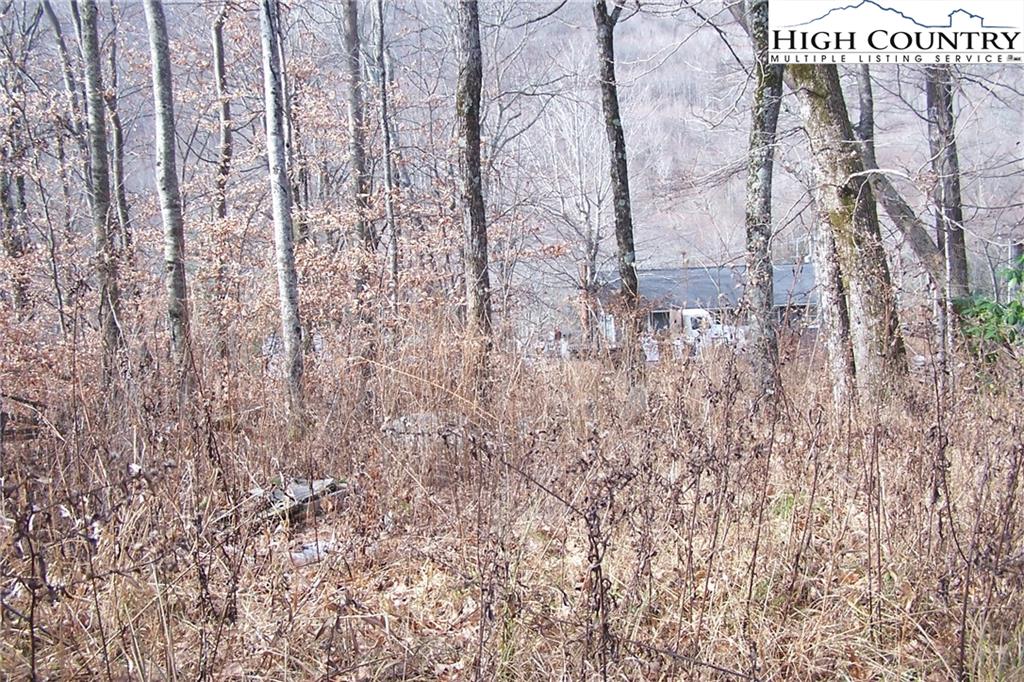 4614 Meat Camp Road Todd, NC 28684 - Photo 9 of 23 Gallery Image 9