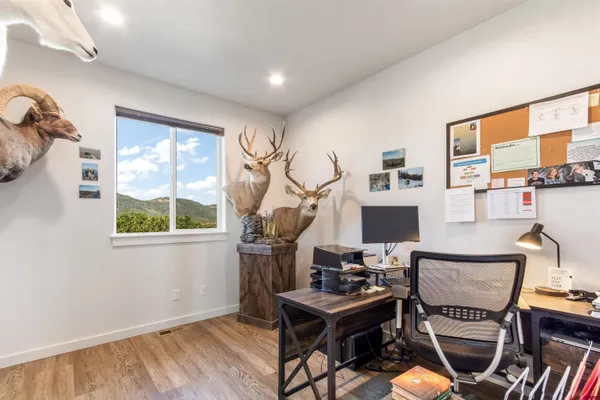 $995,000 | 767 Henry's Lake Drive, Chromo, CO 81128