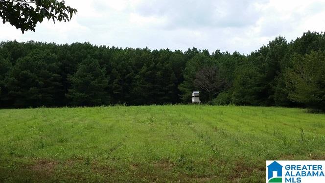 0 Coleman Road Sylacauga, AL 35150 - Photo 11 of 13