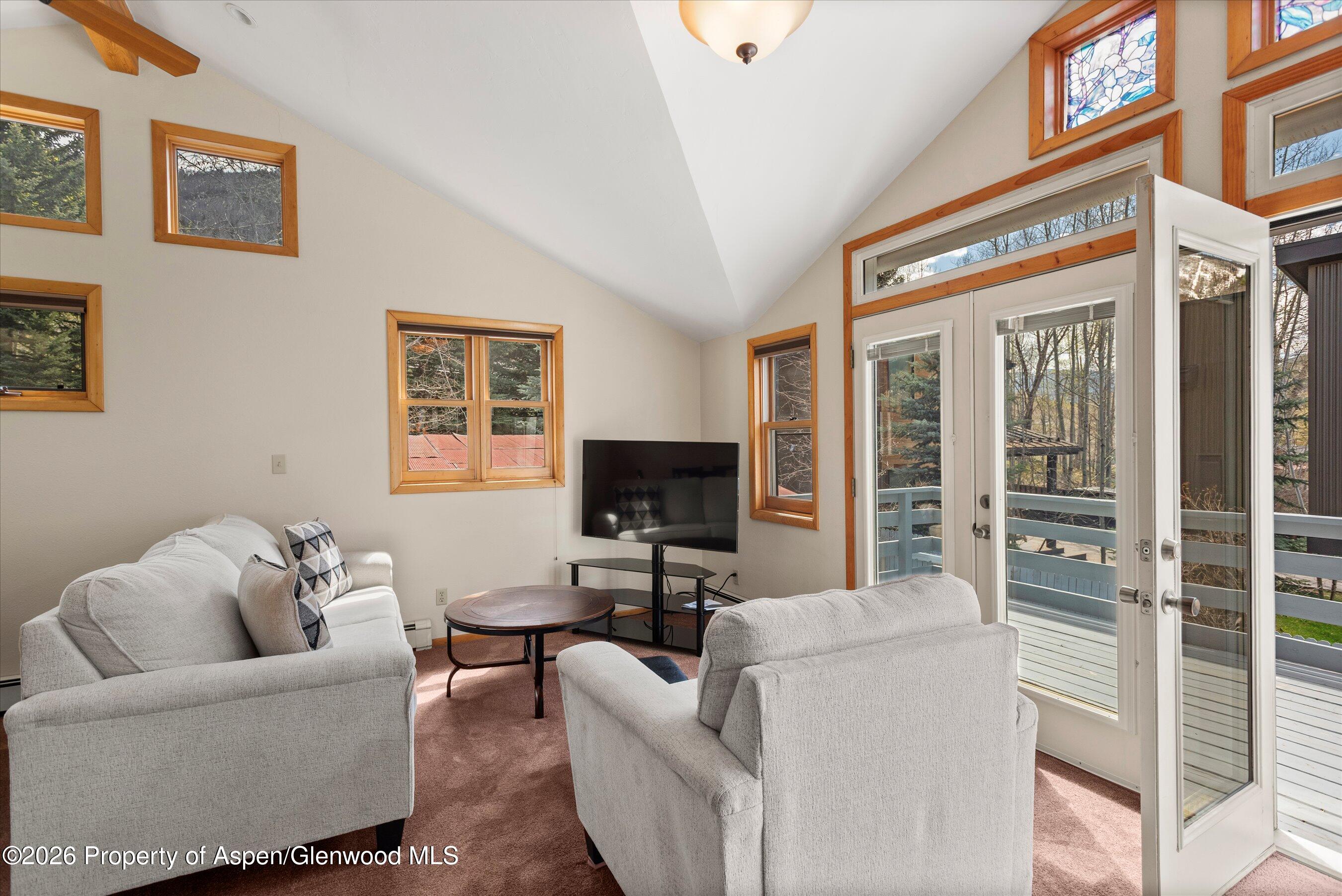 53 Spruce Street, Unit S 1 AND 2 Aspen, CO 81611 - Photo 66 of 67 03-03-536SpruceSt_250429003
