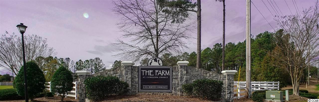 2821 Scarecrow Way Myrtle Beach, SC 29579 - Photo 33 of 38