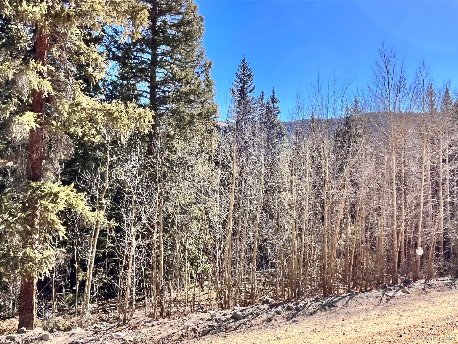 642 Quartzville Road Alma, CO 80420 - Photo 1 of 30 Gallery Image 1