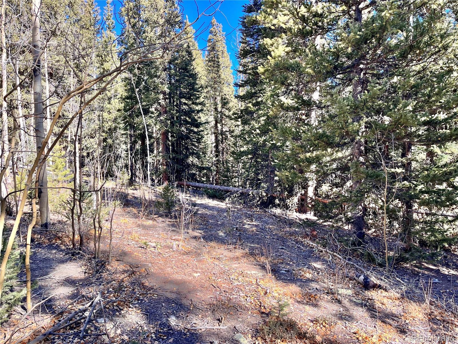 642 Quartzville Road Alma, CO 80420 - Photo 3 of 30 Gallery Image 3
