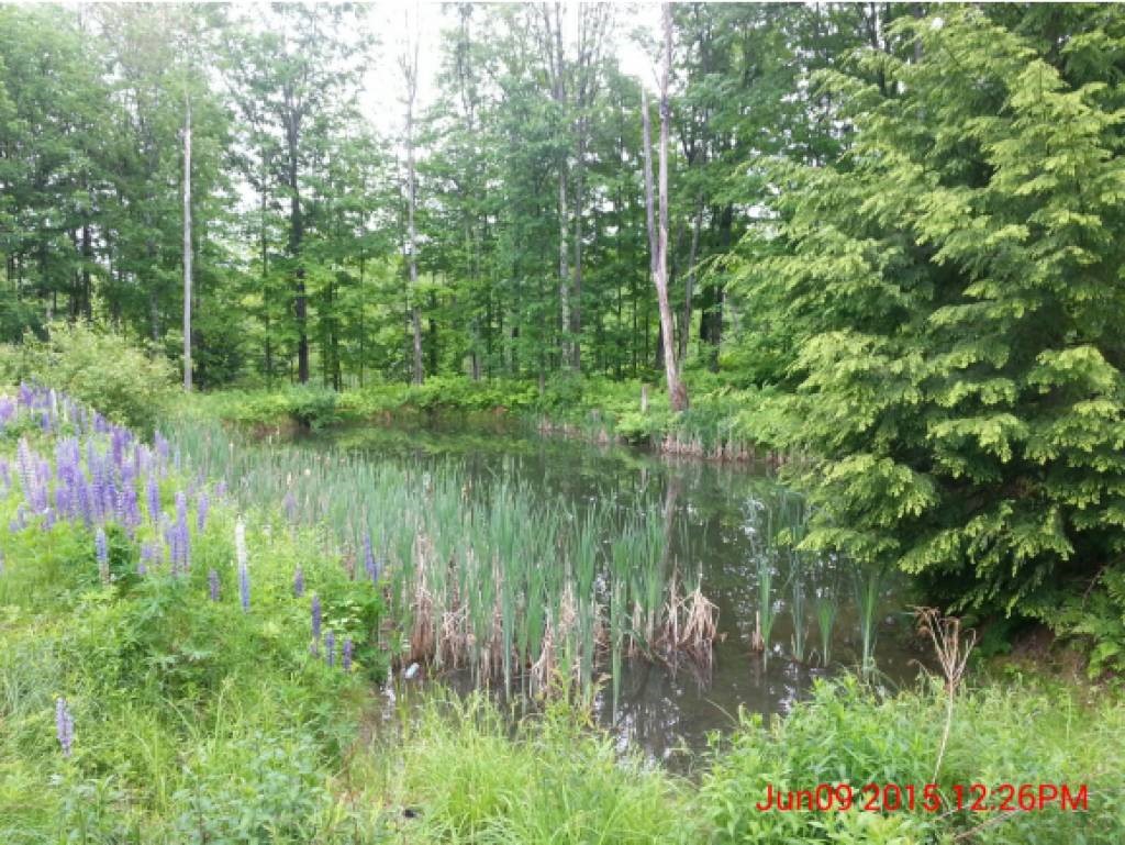 34 Warren Road Enfield, NH 03748 - Photo 7 of 7 Gallery Image 7