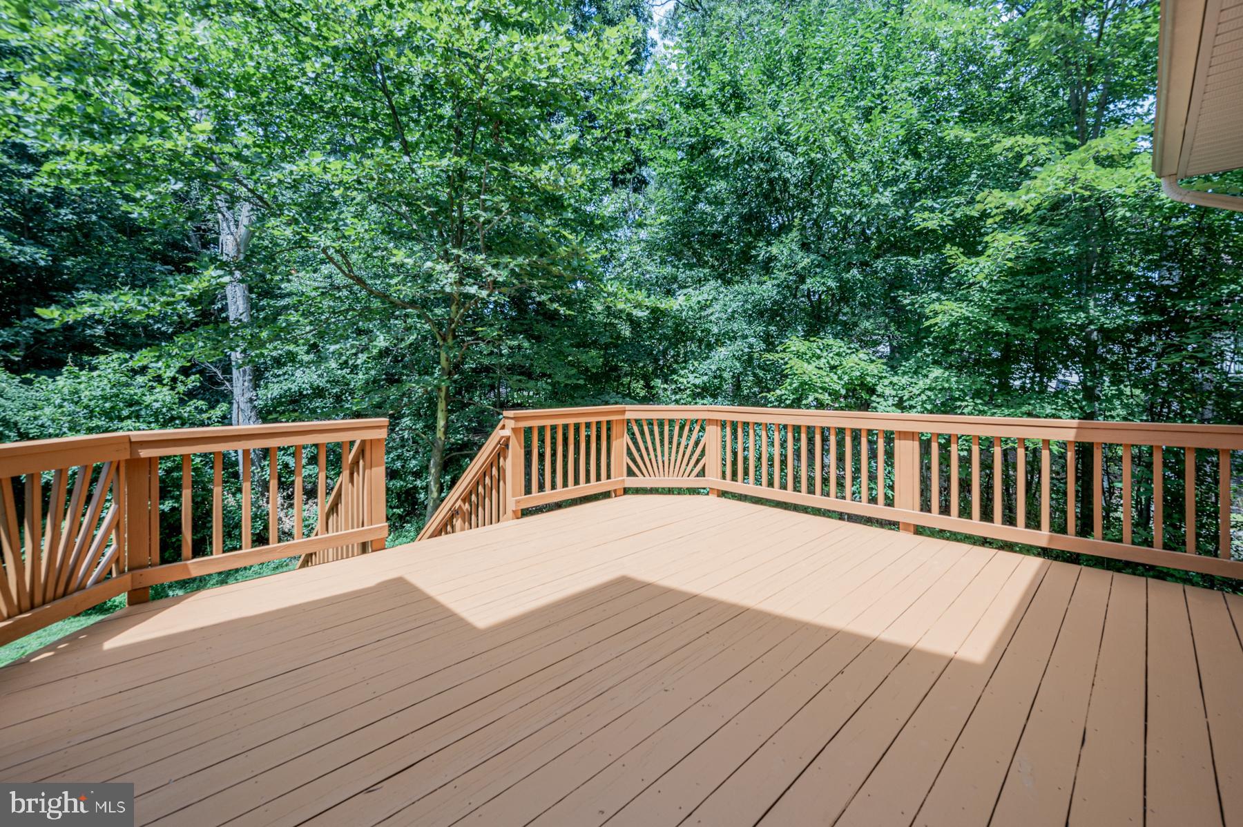 9916 Farm Pond Road Laurel, MD 20708 - Photo 20 of 45