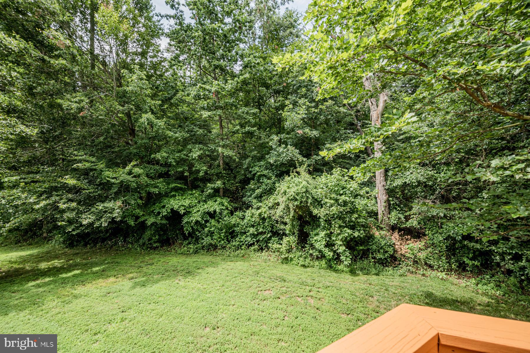 9916 Farm Pond Road Laurel, MD 20708 - Photo 22 of 45
