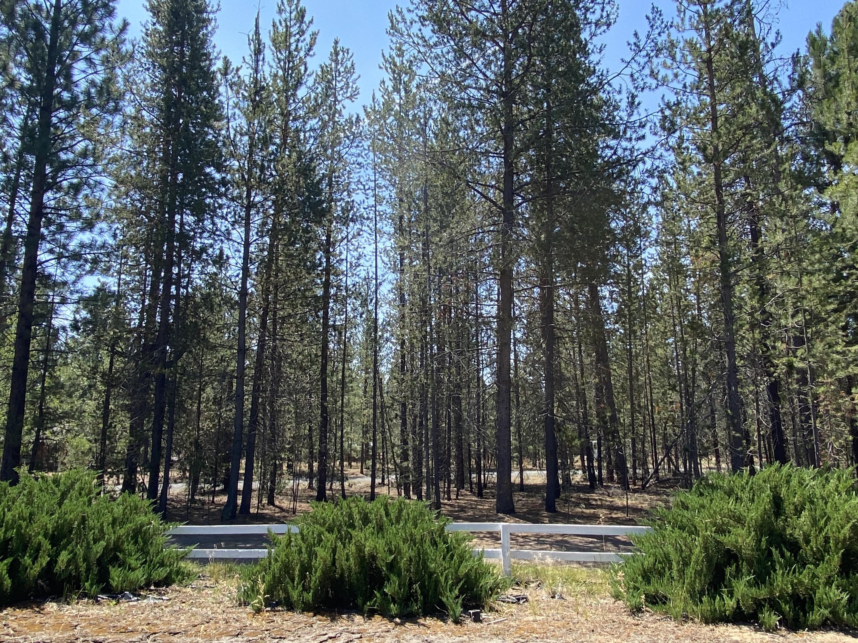52055 Read Loop La Pine, OR 97739 - Photo 33 of 36 Wonderful Property