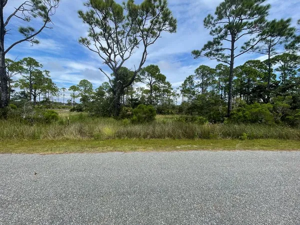 $125,000 | 223 Hidden Harbor Drive, Alligator Point, FL 32346