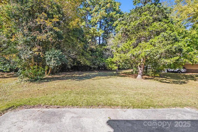 a view of yard with large trees
