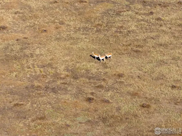 a bathroom with a white wall