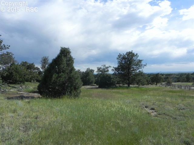 1231 East Rim Road Franktown, CO 80116 - Photo 5 of 25 Gallery Image 5