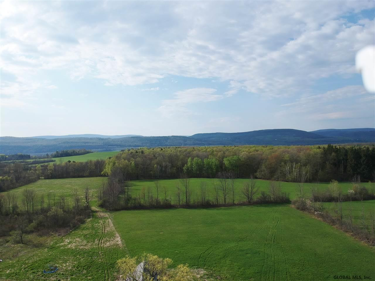 862 Caverns Road Howes Cave, NY 12092 - Photo 15 of 19 Photo 15