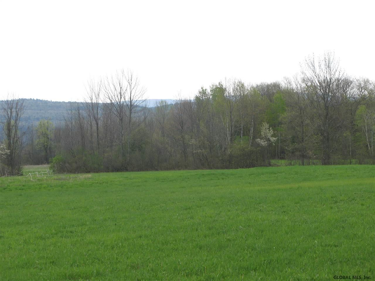 862 Caverns Road Howes Cave, NY 12092 - Photo 10 of 19 Photo 10