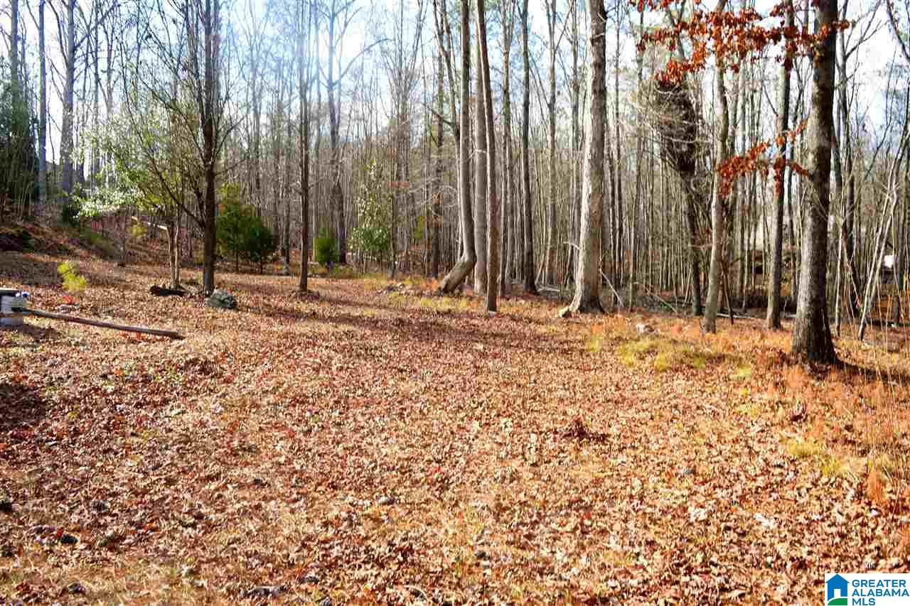 401 Pearl Lake Road Springville, AL 35146 - Photo 43 of 46