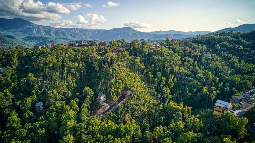 908 Crooked Ridge Road Gatlinburg, TN 37738 - Photo 48 of 60 Gallery Image 48
