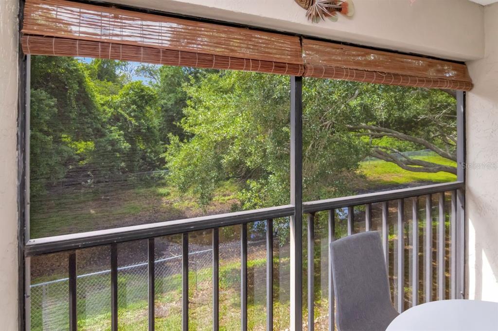 11511 113th Street, Unit 13F Largo, FL 33778 - Photo 23 of 40