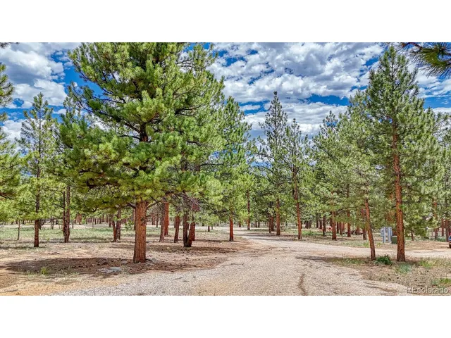 a black and white photo of a house