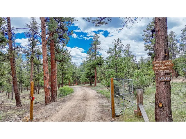 a black and white photo of a field