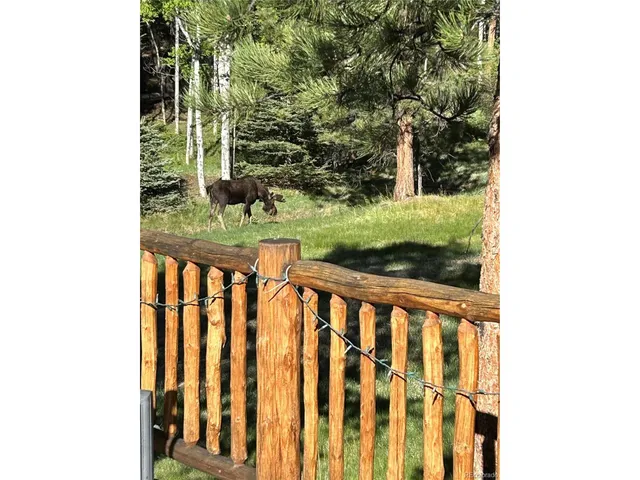 $1,300,000 | 18480 Ponderosa Lane, Buena Vista, CO 81211