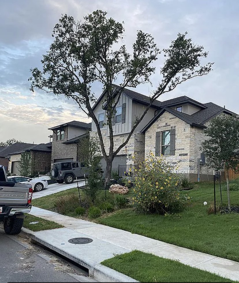 2017 Palmera Ridge Boulevard Leander, TX 78641 - Photo 1 of 6 A striking modern home with mixed materials and a lush green lawn, complemented by mature trees.