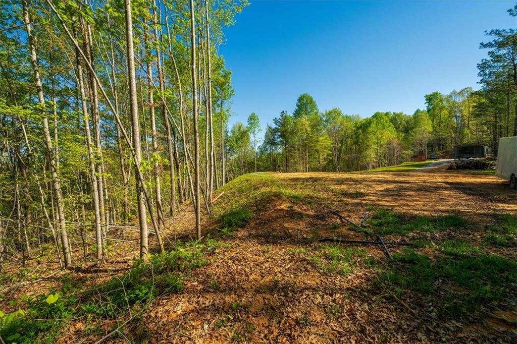 280 Dan Ross Road Six Mile, SC 29682 - Photo 4 of 18 A spacious, tree-lined lot offers a prime building site for a dream home.