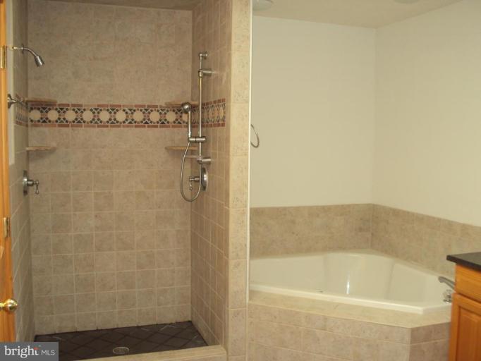 255 Mountain Top Road Front Royal, VA 22630 - Photo 12 of 30 a bathroom with a shower