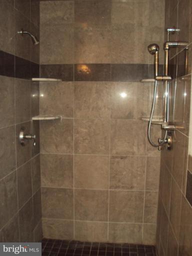 255 Mountain Top Road Front Royal, VA 22630 - Photo 21 of 30 a bathroom with a shower
