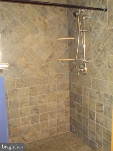 255 Mountain Top Road Front Royal, VA 22630 - Photo 23 of 30 a bathroom with a shower